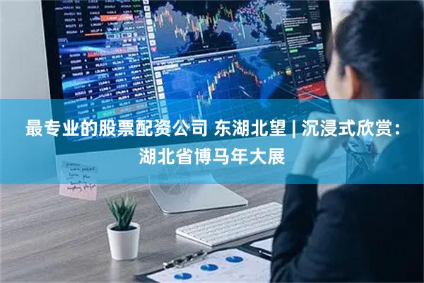 最专业的股票配资公司 东湖北望 | 沉浸式欣赏：湖北省博马年大展