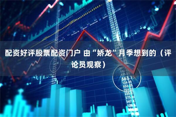 配资好评股票配资门户 由“娇龙”月季想到的（评论员观察）